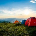 Trivs alla djur med campinglivet?